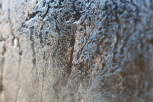 Frosty Windowpane, Boulder, Colorado