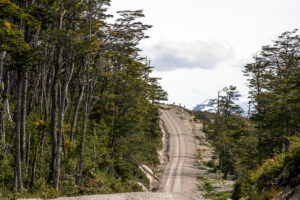 Hill near Puerto Yunguay, Chile on the Carretera Austral