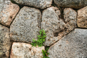 Interlocking Rocks with plants growing through the stone at Machu Picchu, Peru