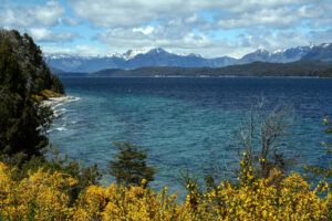 Lago Nahual Huapi, Patagonia, Argentina with yellow bushes in the foreground and snowcapped mountains behind