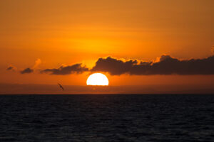 Sunset over the Water, Galápagos Islands, Ecuador