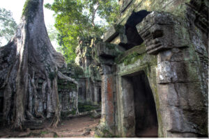 Ta Prohm, Angkor Wat, Cambodia