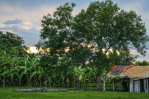 Camp in the Pantanal, Brazil