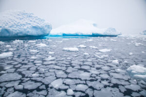 Pocked Ice off of Antarctica